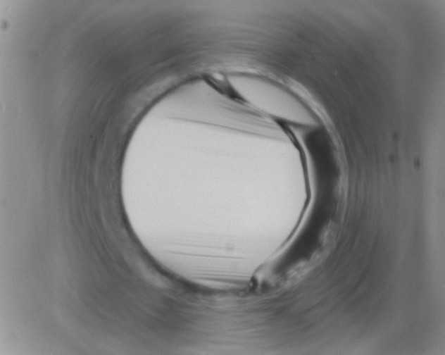 X0000082730481200702232351