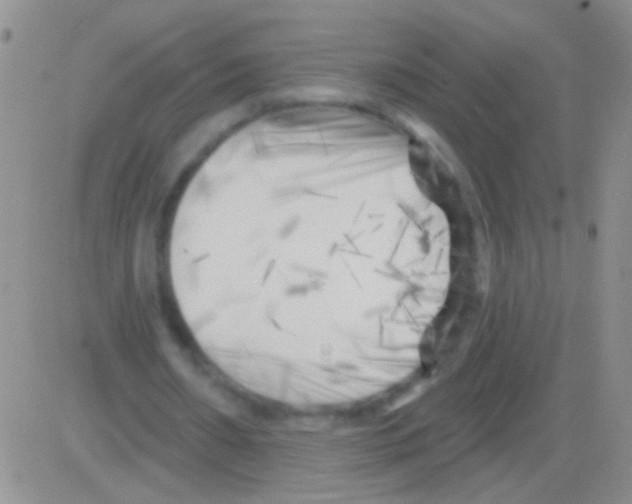 X0000082730482200702232351