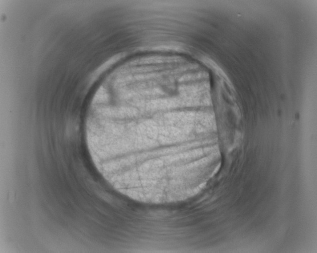 X0000082730483200702232351