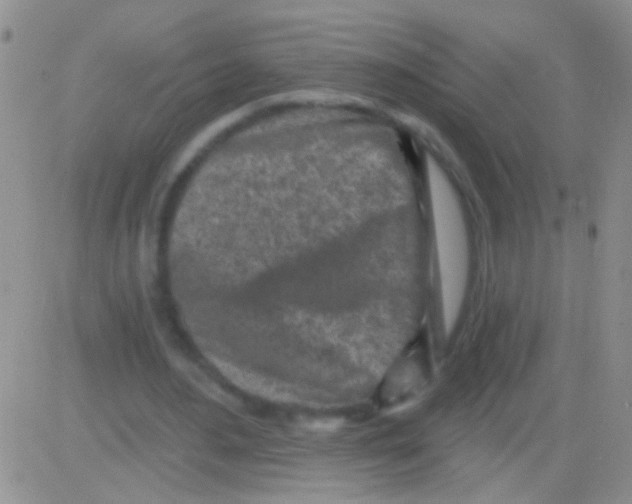 X0000082730484200702232351