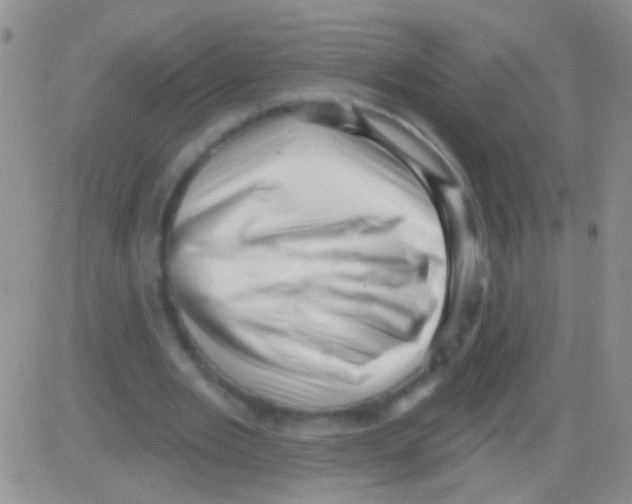 X0000082730485200702232351