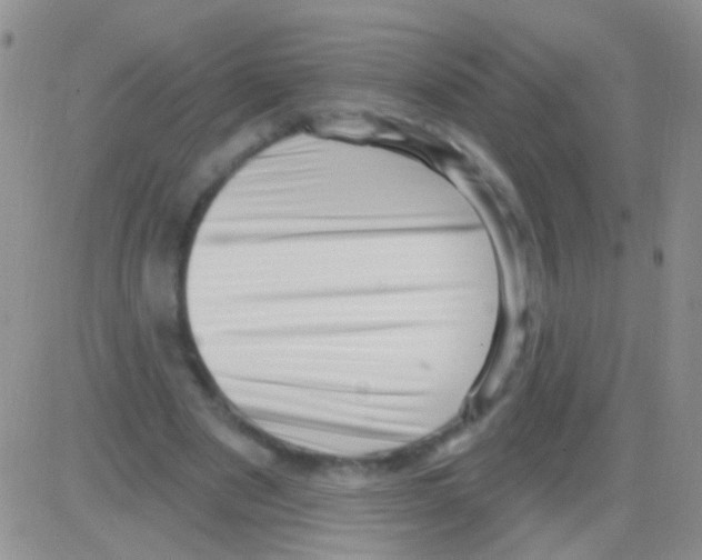 X0000082730489200702232351