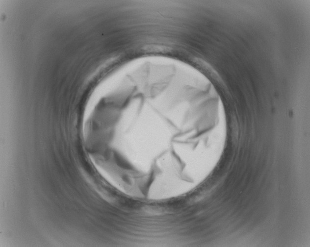 X0000082730490200702232351