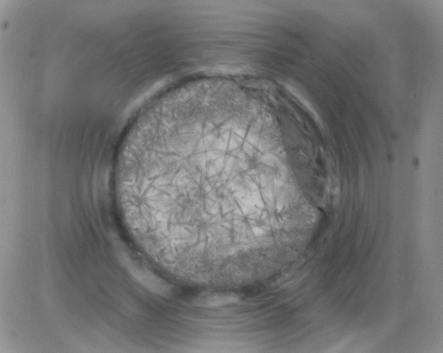 X0000082730491200702232351