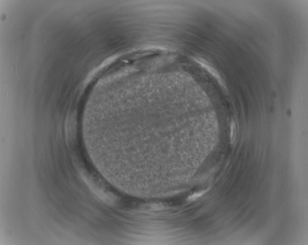 X0000082730492200702232351