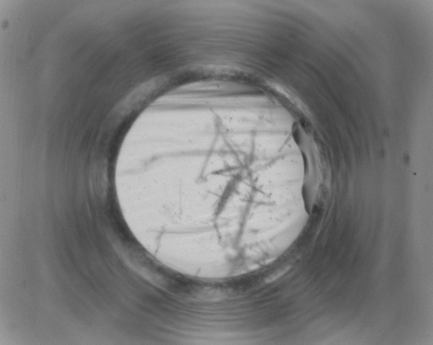 X0000082730494200702232351