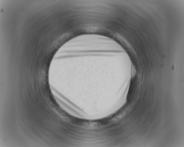 X0000082730497200702232351