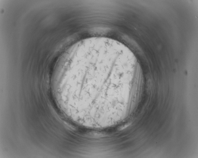 X0000082730498200702232351