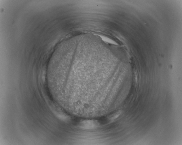 X0000082730499200702232351