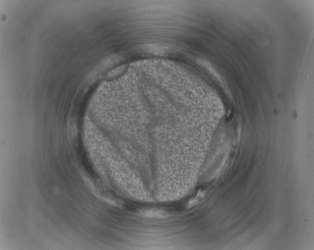 X0000082730500200702232351