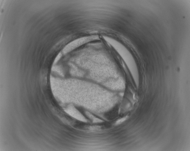 X0000082730501200702232351