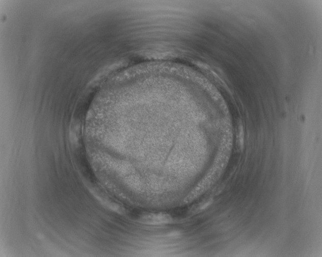 X0000082730503200702232351