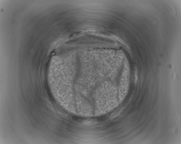 X0000082730504200702232350