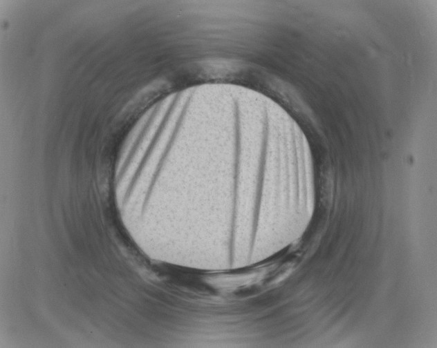 X0000082730505200702232350