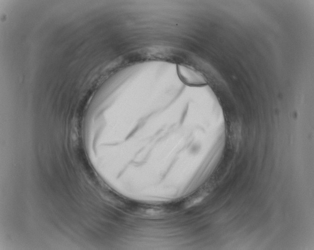 X0000082730506200702232350