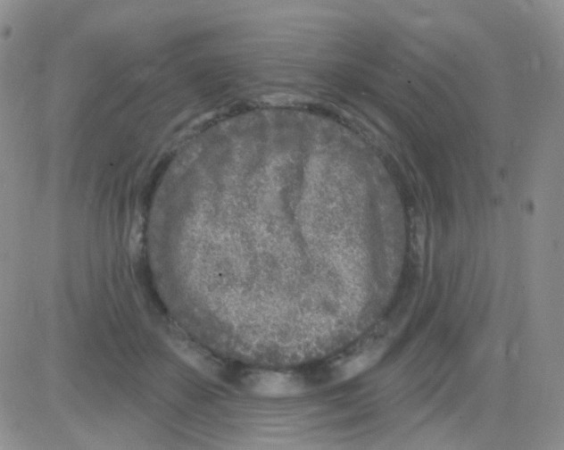 X0000082730507200702232350