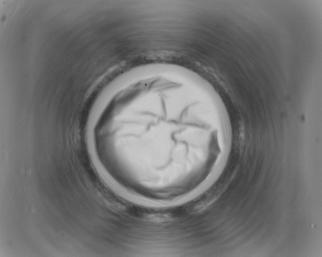 X0000082730508200702232350