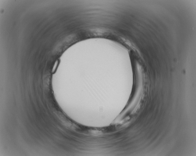 X0000082730509200702232350