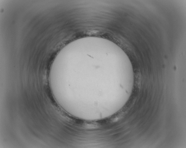 X0000082730510200702232350