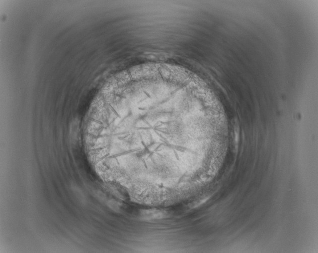 X0000082730511200702232350