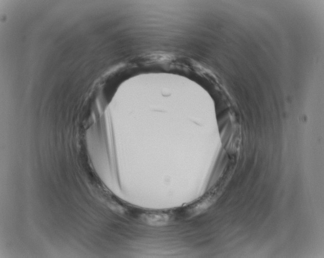 X0000082730512200702232350