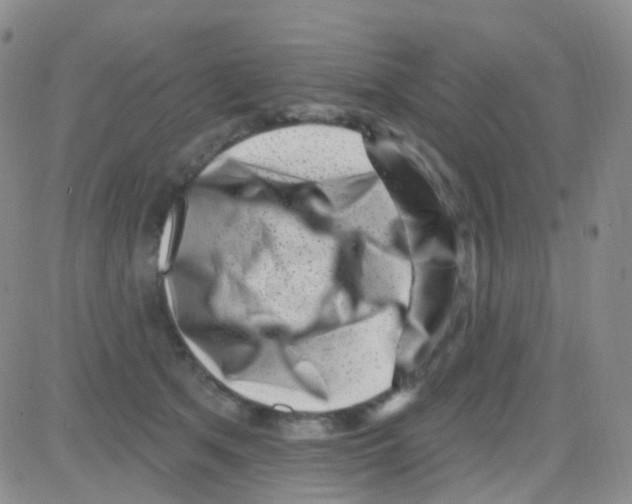 X0000082730513200702232350