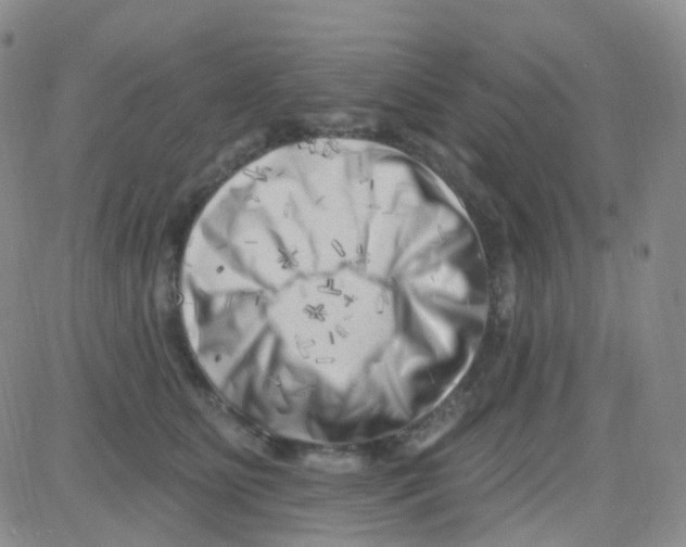 X0000082730515200702232350