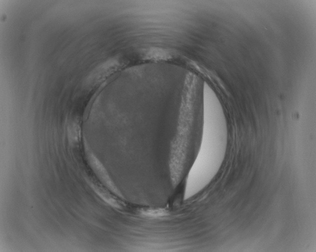 X0000082730517200702232350