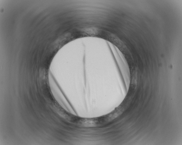 X0000082730518200702232350