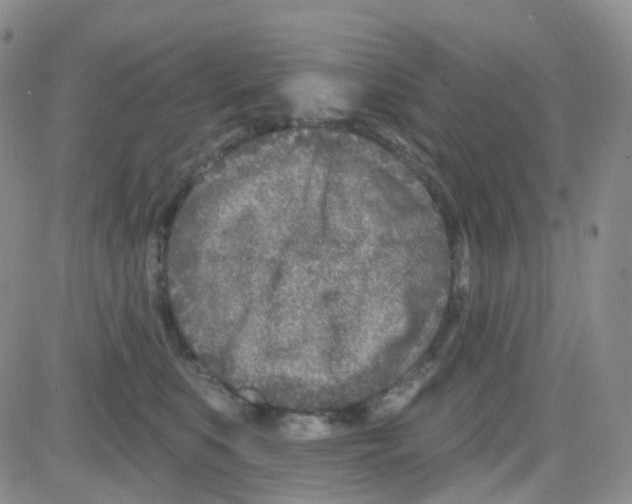 X0000082730519200702232350