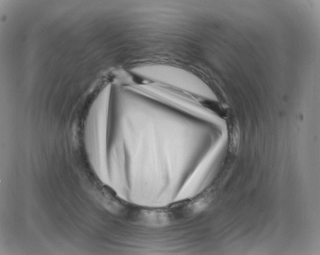 X0000082730520200702232350