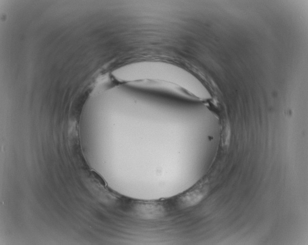 X0000082730521200702232350