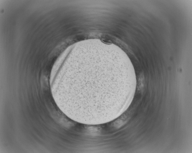 X0000082730522200702232350