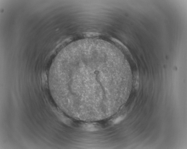 X0000082730523200702232350