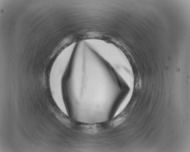 X0000082730524200702232350