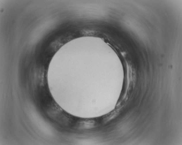 X0000082730525200702232350