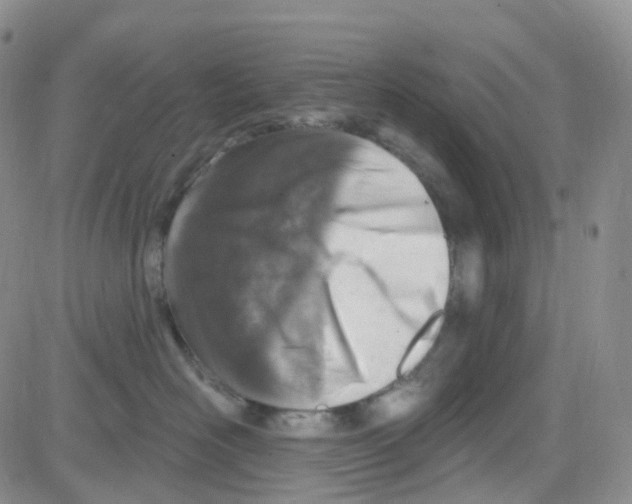 X0000082730526200702232350