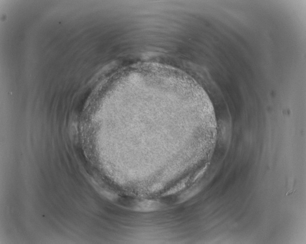 X0000082730527200702232350