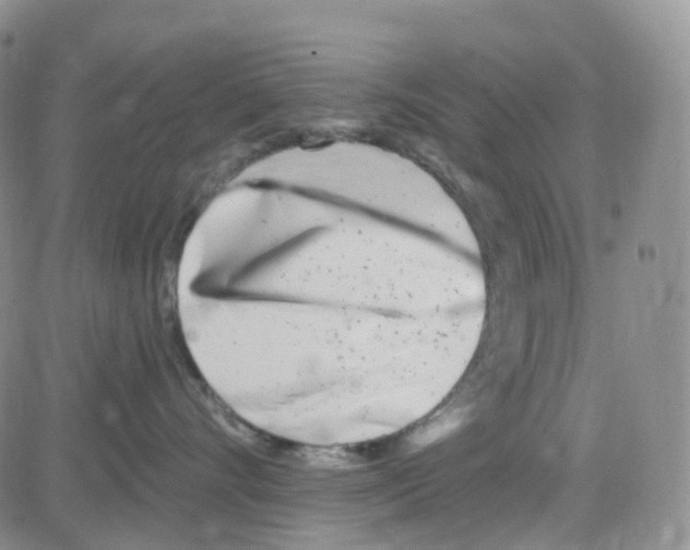 X0000082730528200702232350