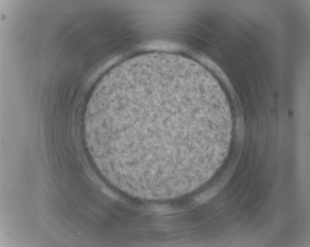 X0000082730529200702232349