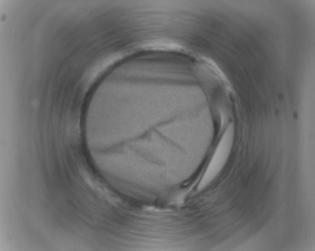 X0000082730531200702232349