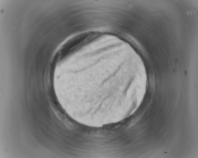 X0000082730532200702232349