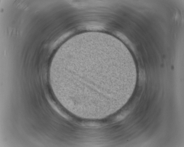 X0000082730533200702232349