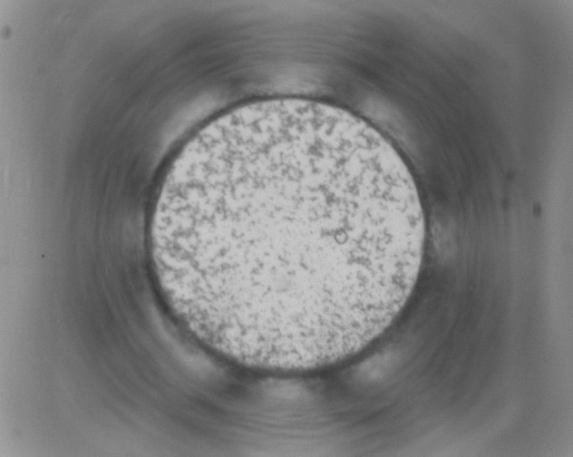 X0000082730534200702232349