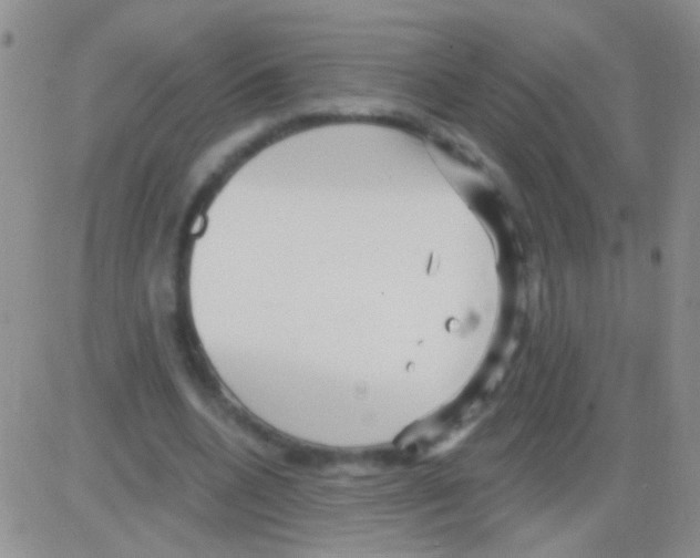 X0000082730536200702232349