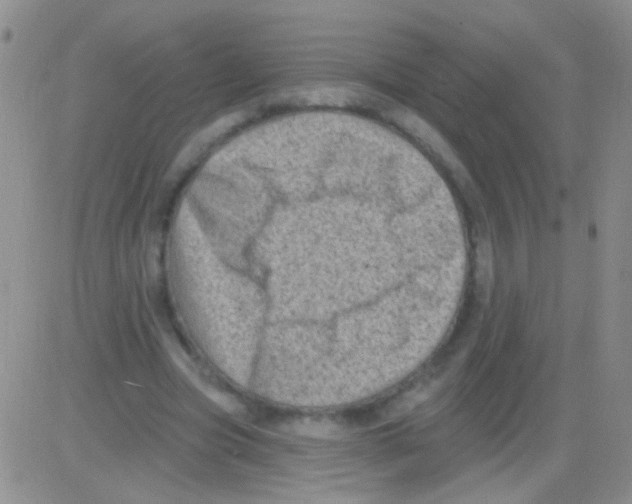 X0000082730537200702232349