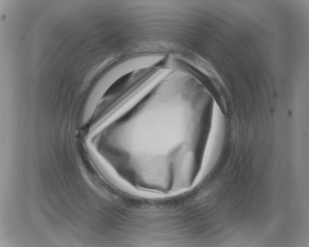 X0000082730538200702232349