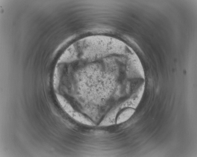 X0000082730539200702232349