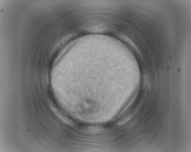 X0000082730541200702232350