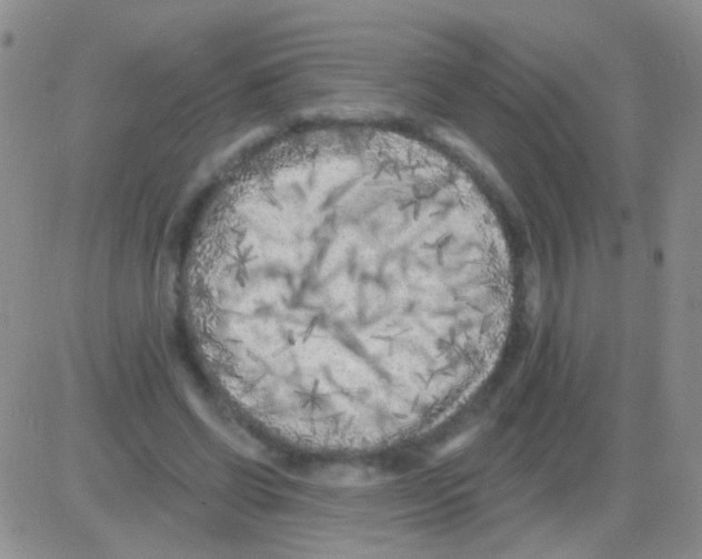 X0000082730542200702232350